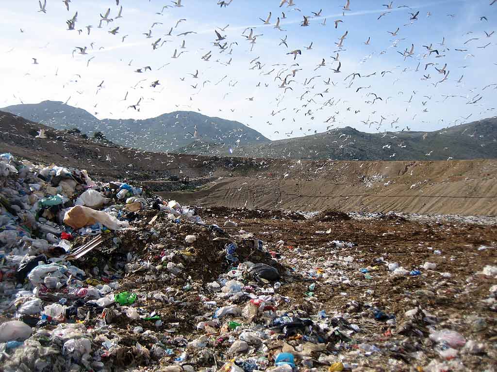 Allarme rifiuti, vietato conferire a Borgo Giglione: verso ordinanza della Regione