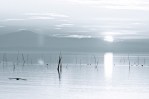 Trasimeno4
