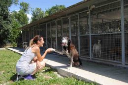 Montefalco, il rifugio dei cani tra i 15 migliori d’Italia: «Nell’ultimo mese 10 adozioni»