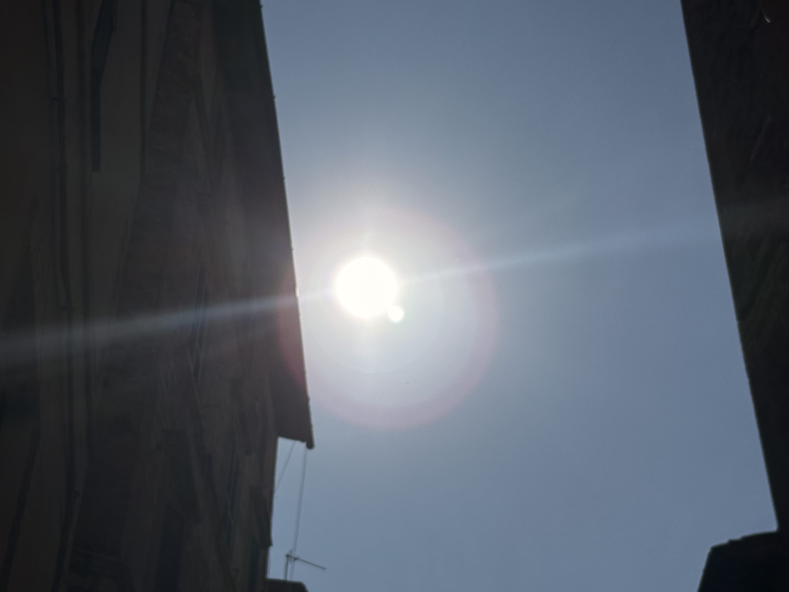 Come combattere il super caldo in Umbria: alberi nelle città e cinque altre proposte